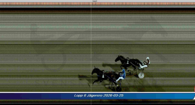 Bild från travets värld