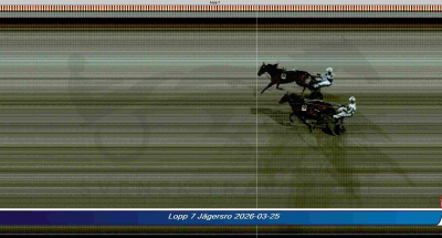 Bild från travets värld