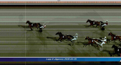 Bild från travets värld