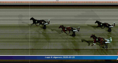 Bild från travets värld