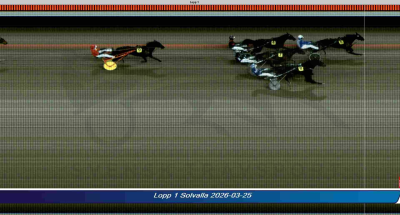 Bild från travets värld