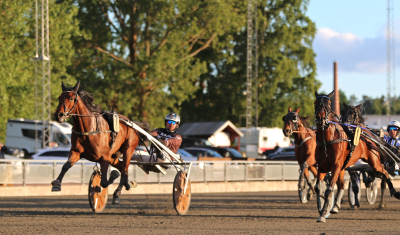 Bild från travets värld