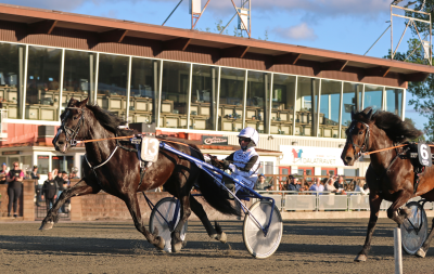 Bild från travets värld