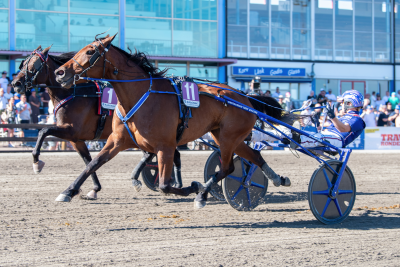Bild från travets värld