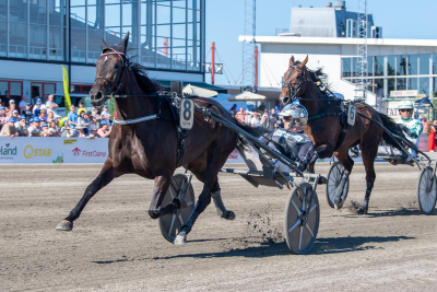 Bild från travets värld