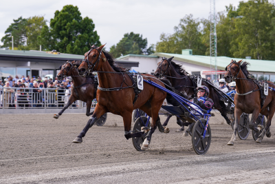 Bild från travets värld