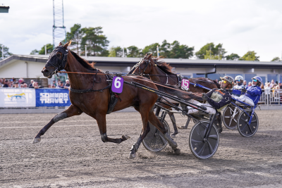 Bild från travets värld
