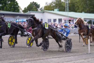 Bild från travets värld
