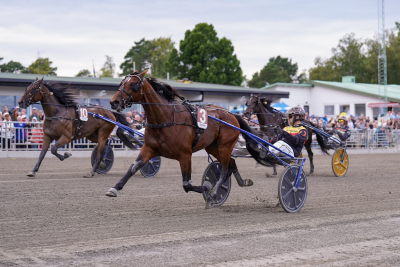Bild från travets värld