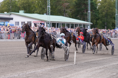 Bild från travets värld