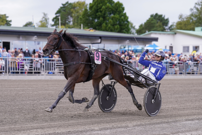 Bild från travets värld