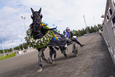 Bild från travets värld