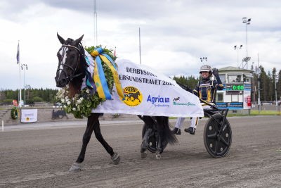 Bild från travets värld