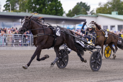 Bild från travets värld
