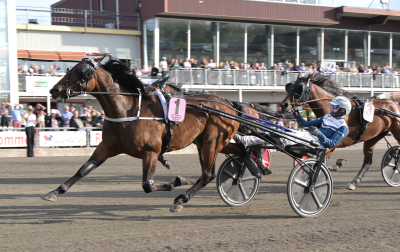 Bild från travets värld