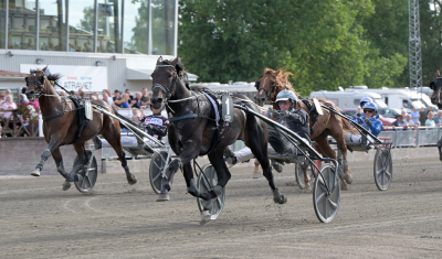 Bild från travets värld