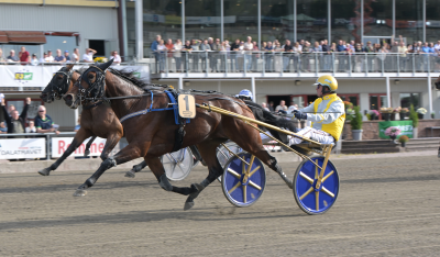 Bild från travets värld