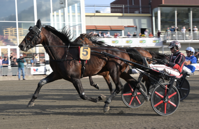 Bild från travets värld
