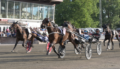 Bild från travets värld