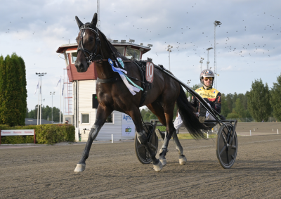 Bild från travets värld