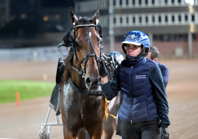 Bild från travets värld