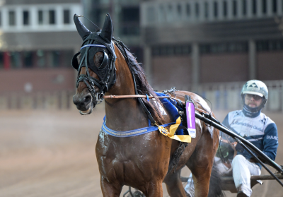 Bild från travets värld