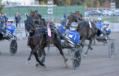 Bild från travets värld