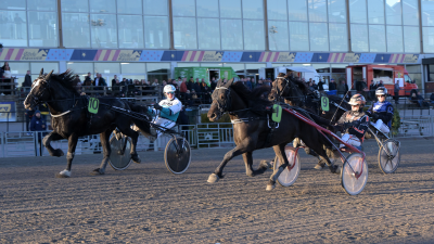 Bild från travets värld