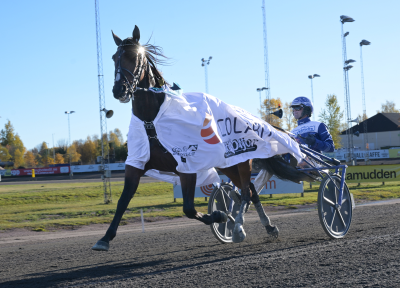 Bild från travets värld