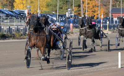 Bild från travets värld