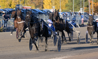 Bild från travets värld