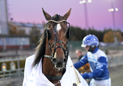 Bild från travets värld