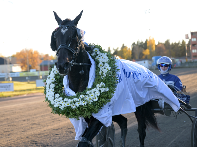 Bild från travets värld