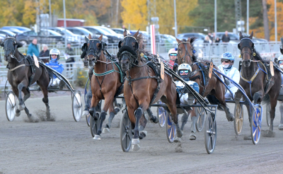 Bild från travets värld