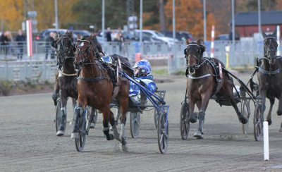 Bild från travets värld
