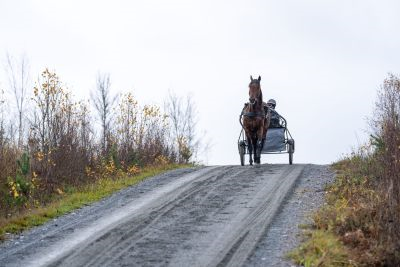 Bild från travets värld