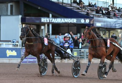 Bild från travets värld