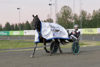 Bild från travets värld