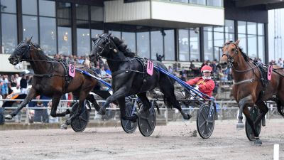 Bild från travets värld