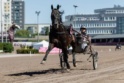 Bild från travets värld