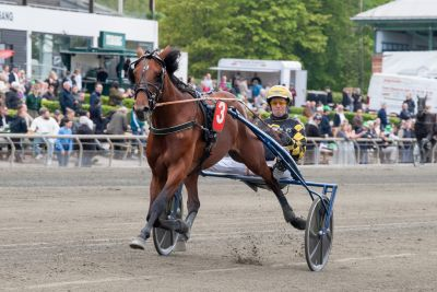 Bild från travets värld