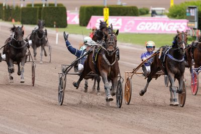 Bild från travets värld