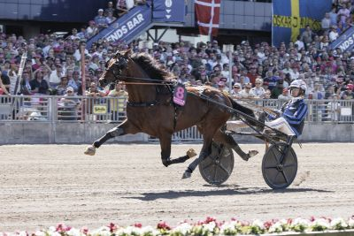 Bild från travets värld