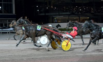 Bild från travets värld