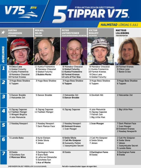 Fem tippar V75