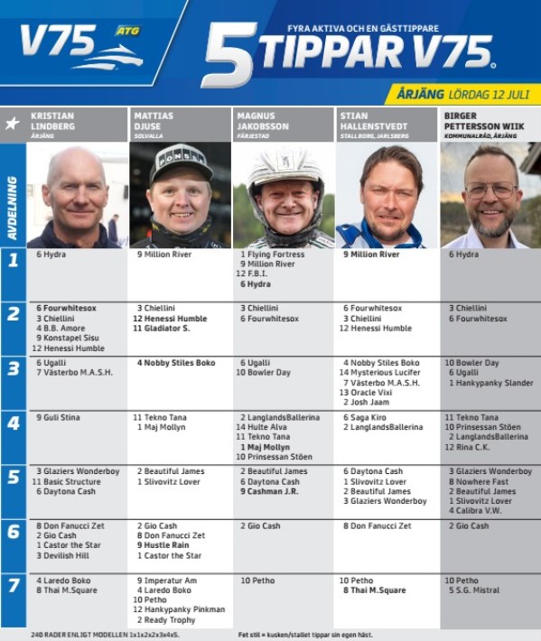 Fem tippar V75