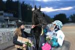 Bild från travets värld