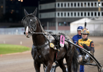 Bild från travets värld