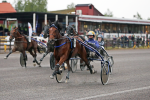 Bild från travets värld