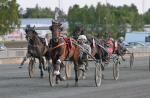 Bild från travets värld